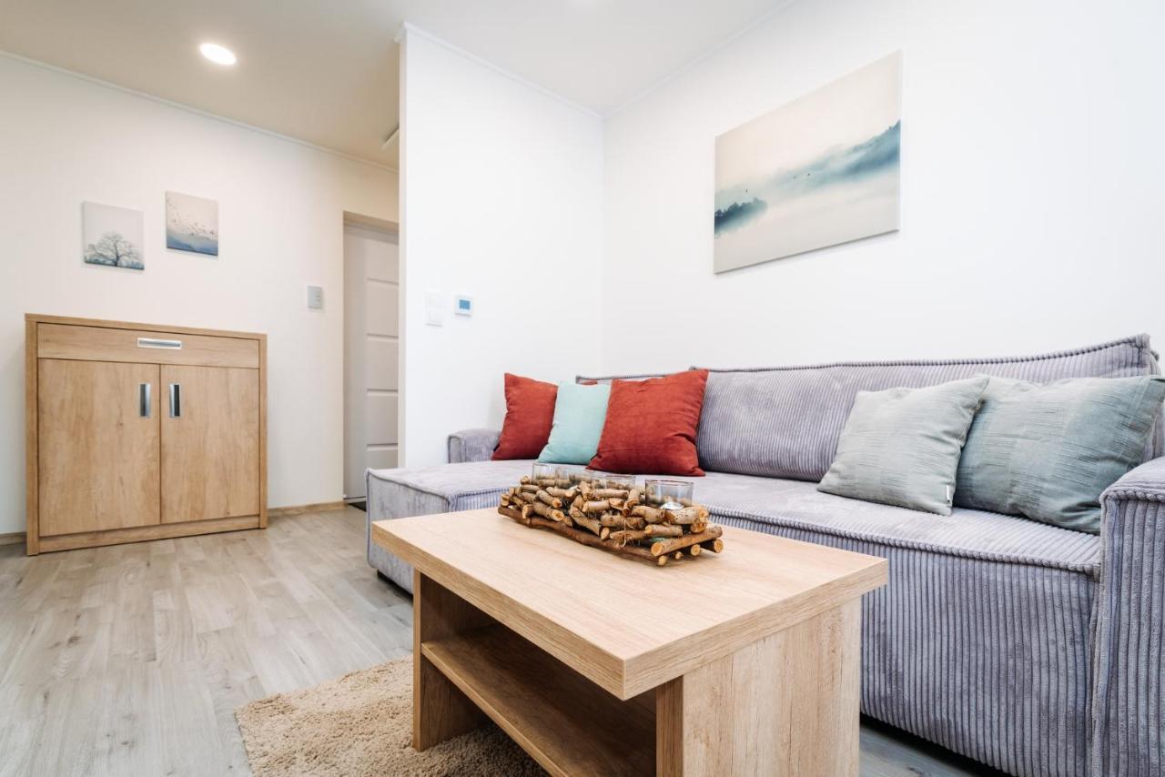 Apartment Hugo Klinovec Loučná pod Klínovcem Eksteriør billede